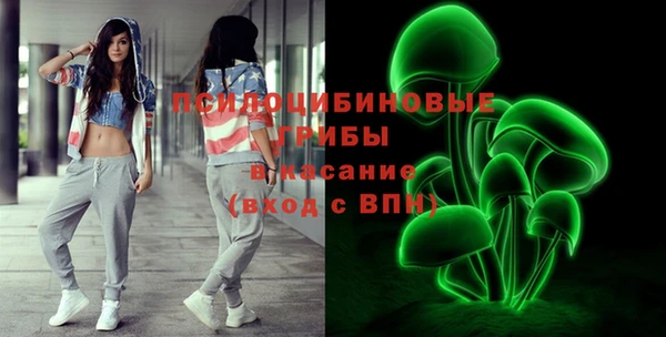 гидропоника Богородицк